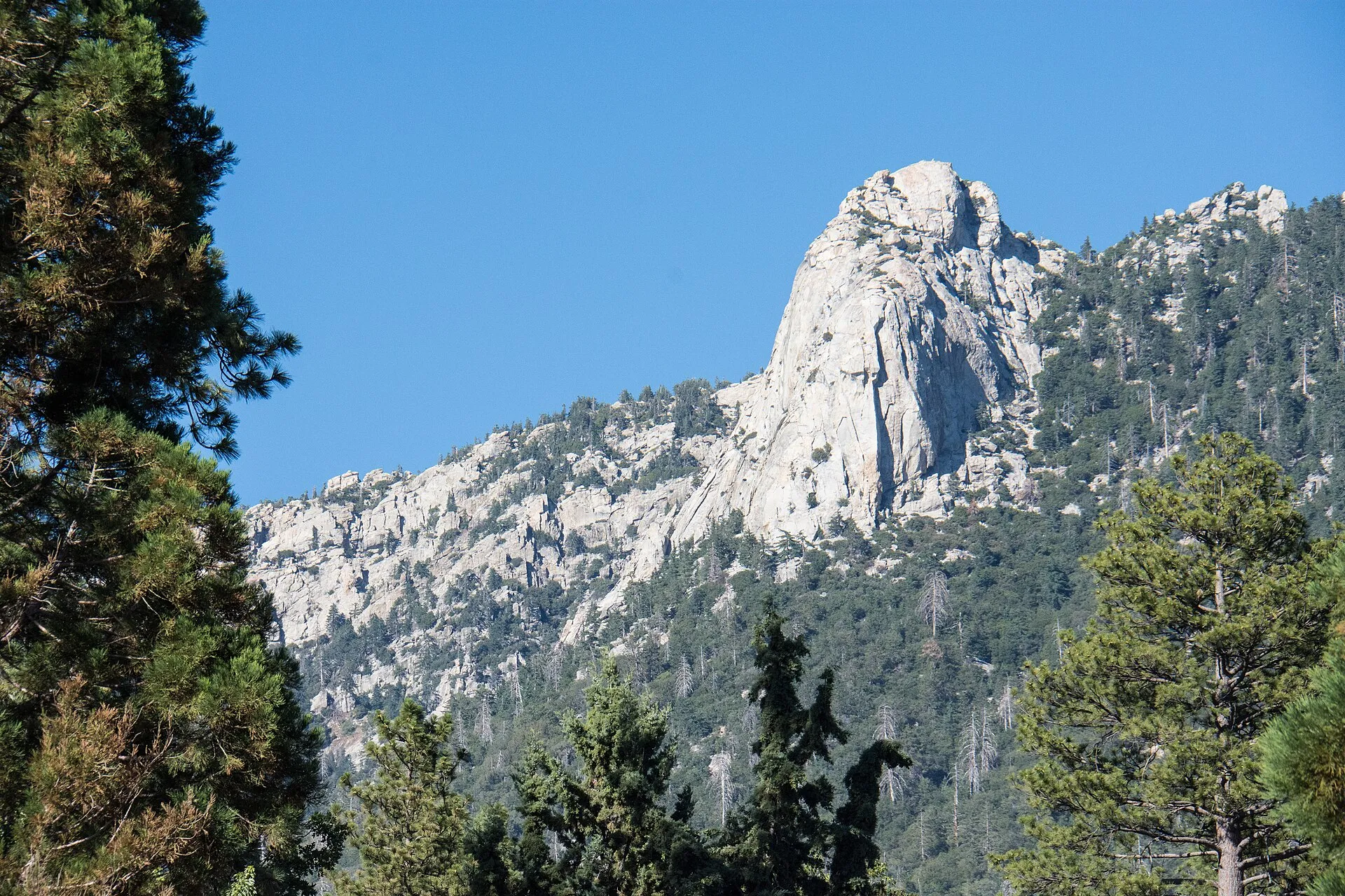 The granite spire of Tahquitz Rock (Lily Rock) above pine forest